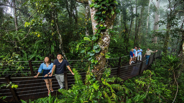 Kuranda tour